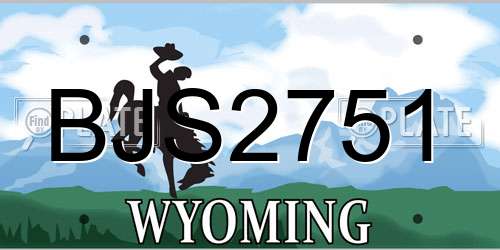 BJS2751 Wyoming License Plate