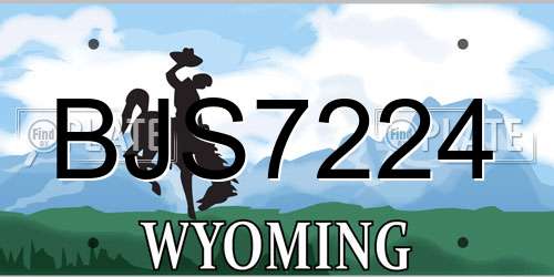 BJS7224 Wyoming License Plate