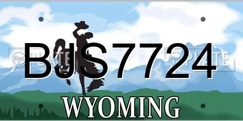 BJS7724 Wyoming License Plate