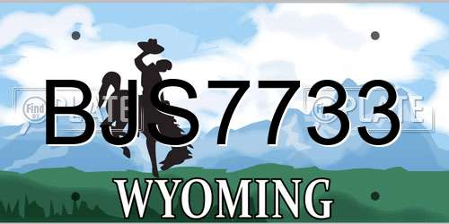 BJS7733 Wyoming License Plate