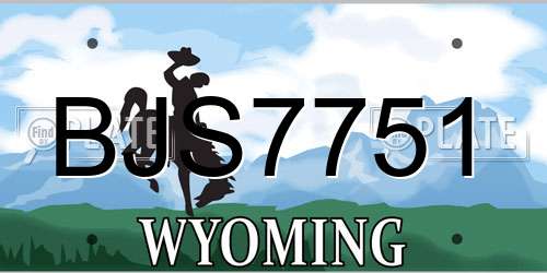 BJS7751 Wyoming License Plate