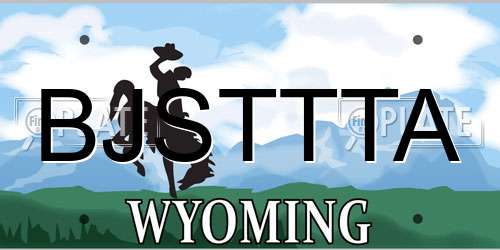 BJSTTTA Wyoming License Plate