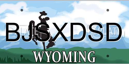 BJSXDSD Wyoming License Plate