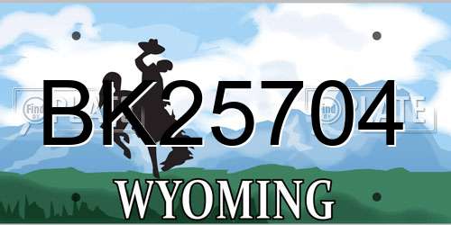 BK25704 Wyoming License Plate