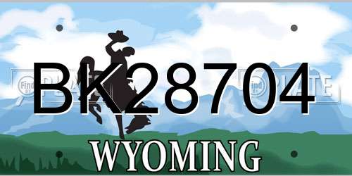 BK28704 Wyoming License Plate