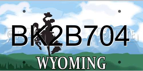 BK2B704 Wyoming License Plate