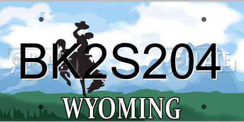 BK2S204 Wyoming License Plate