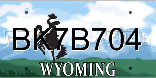 BK7B704 Wyoming License Plate