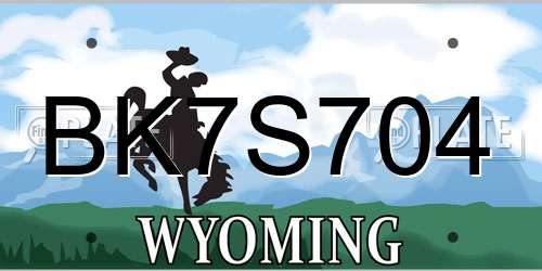 BK7S704 Wyoming License Plate