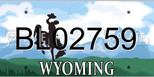 BL02759 Wyoming License Plate