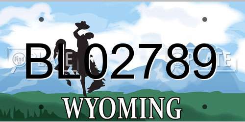 BL02789 Wyoming License Plate