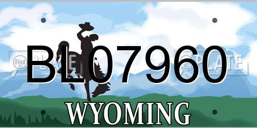 BL07960 Wyoming License Plate