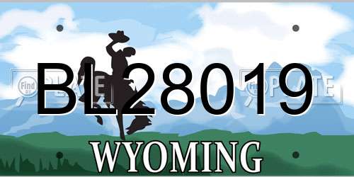 BL28019 Wyoming License Plate