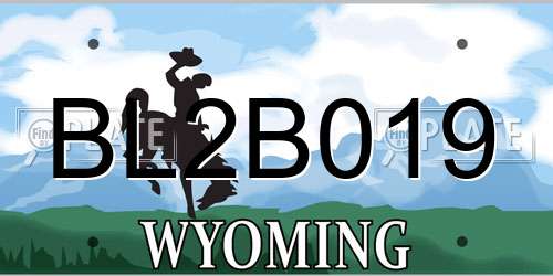 BL2B019 Wyoming License Plate