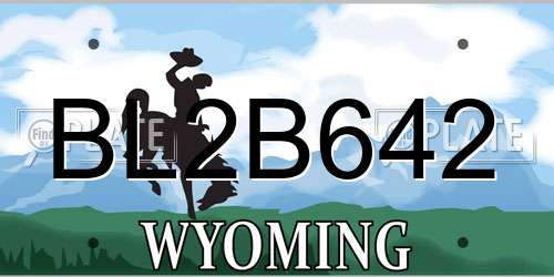 BL2B642 Wyoming License Plate