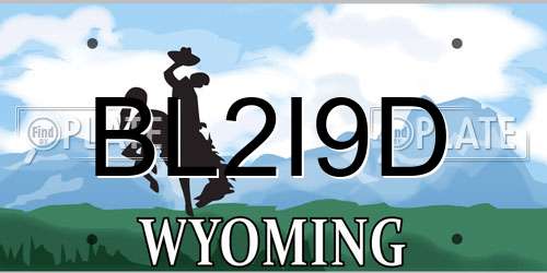BL2I9D Wyoming License Plate