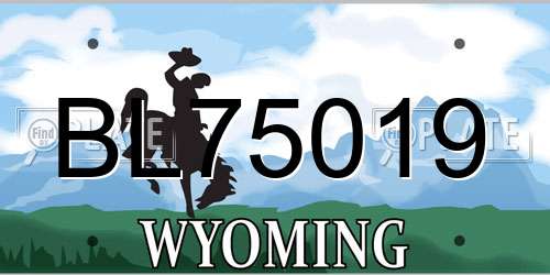 BL75019 Wyoming License Plate