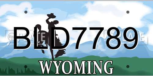 BLD7789 Wyoming License Plate