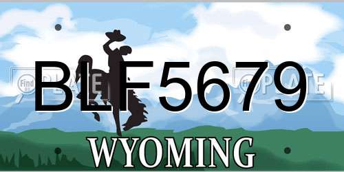 BLF5679 Wyoming License Plate