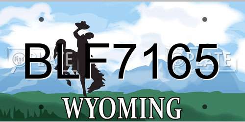 BLF7165 Wyoming License Plate