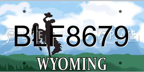 BLF8679 Wyoming License Plate