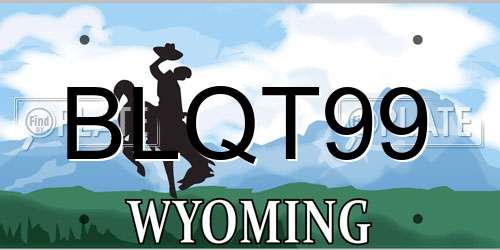 BLQT99 Wyoming License Plate