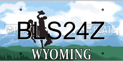 BLS24Z Wyoming License Plate