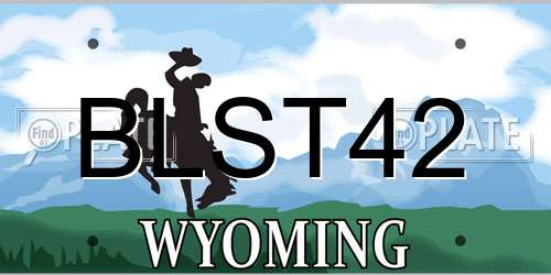 BLST42 Wyoming License Plate