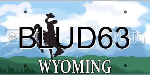 BLUD63 Wyoming License Plate