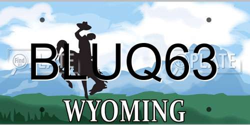BLUQ63 Wyoming License Plate