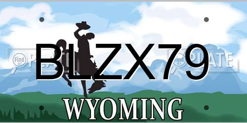 BLZX79 Wyoming License Plate