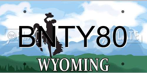 BNTY80 Wyoming License Plate