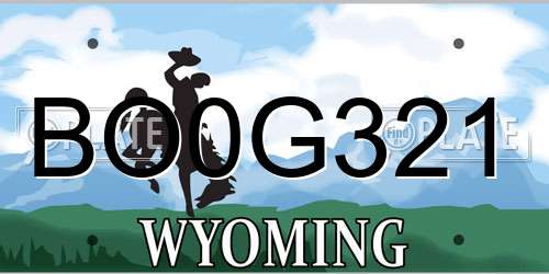 BO0G321 Wyoming License Plate