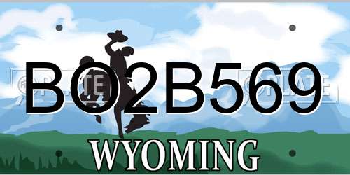 BO2B569 Wyoming License Plate