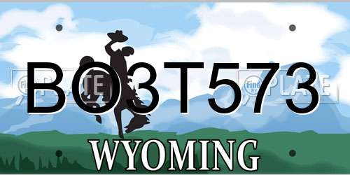 BO3T573 Wyoming License Plate