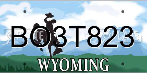 BO3T823 Wyoming License Plate