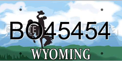 BO45454 Wyoming License Plate