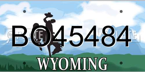 BO45484 Wyoming License Plate