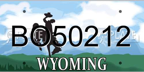 BO50212 Wyoming License Plate