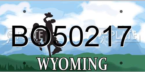 BO50217 Wyoming License Plate