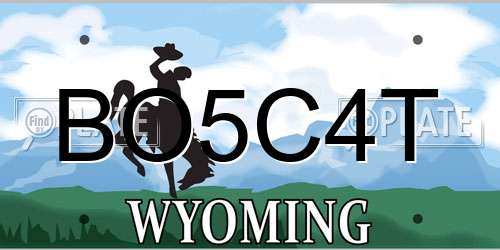 BO5C4T Wyoming License Plate