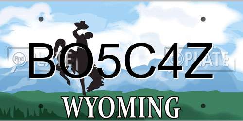 BO5C4Z Wyoming License Plate
