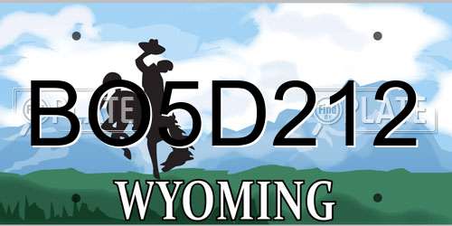 BO5D212 Wyoming License Plate