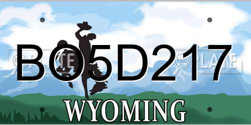 BO5D217 Wyoming License Plate