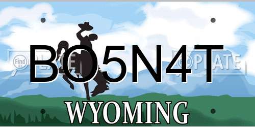 BO5N4T Wyoming License Plate