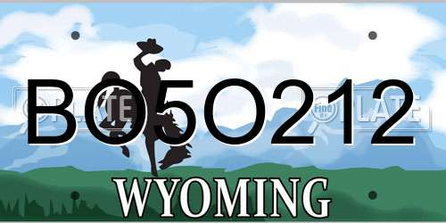 BO5O212 Wyoming License Plate
