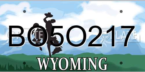 BO5O217 Wyoming License Plate