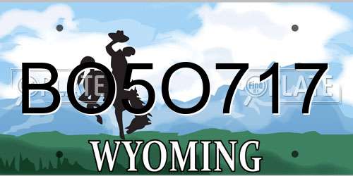 BO5O717 Wyoming License Plate