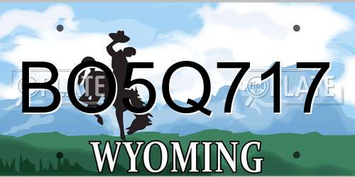 BO5Q717 Wyoming License Plate