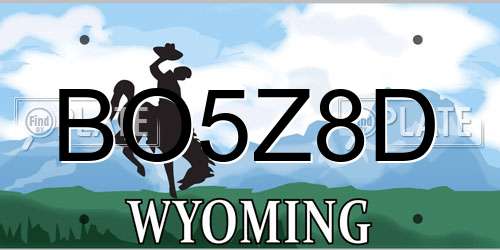 BO5Z8D Wyoming License Plate